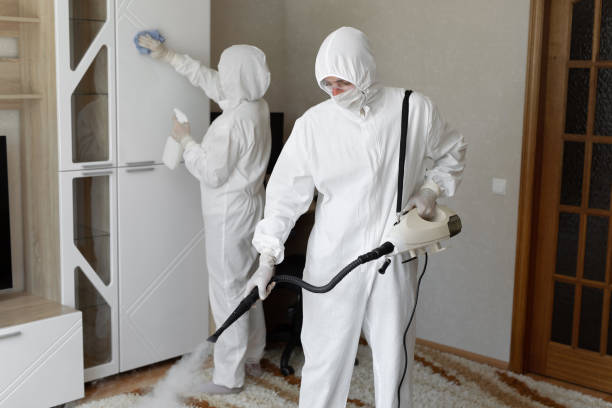 24/7 Emergency Odor Removal experts in Woodbine, GA
