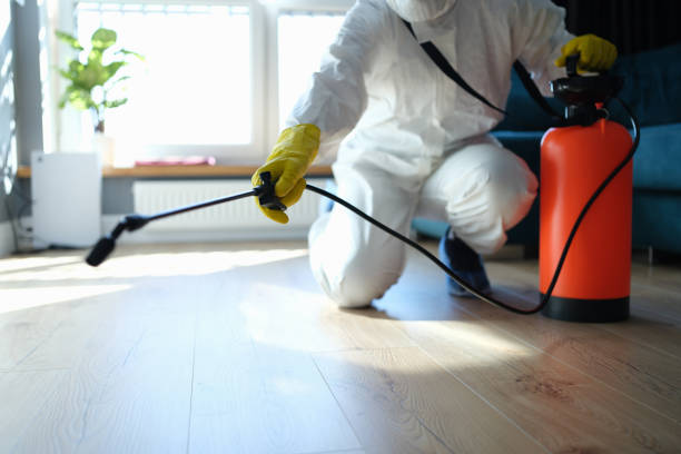 Reliable Odor Removal contractor in Woodbine, GA by Dulley Family Biohazard Services